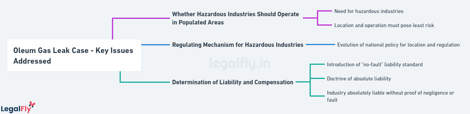 Key Issues Addressed in M.C. Mehta v. Union of India - Oleum Gas Leak Case